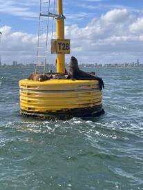 A fantastic fishing trip.