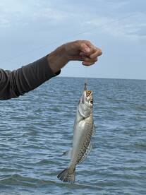 Outstanding People's skills, very enjoyable trip! 