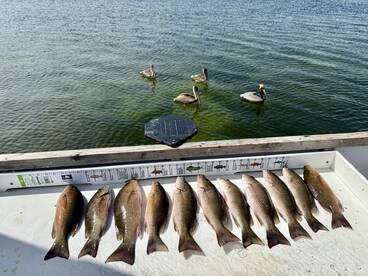 Perfect first time out for our boys! 