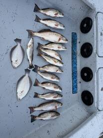 A variety of fish including Redfish and Flounder neatly arranged on the deck of a boat, showcasing a successful fishing trip.