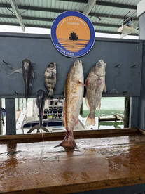 The crew was great taking care of everything we need and finding fish