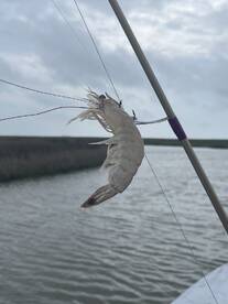 Fishing trip Ok not great