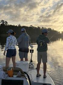 Best Guide Hands Down