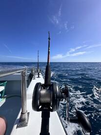 Close-up view of a fishing rod and reel on a boat, with a clear blue sky and ocean in the background, showcasing the fishing environment.