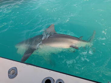 Awesome day of Fishing 