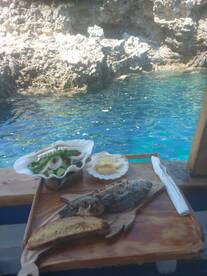 A beautifully arranged meal featuring grilled fish, salad, and cheese, set against a scenic rocky backdrop by the water.