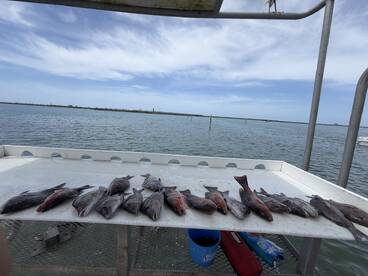 A variety of fish laid out on a cleaning table at a dock, showcasing a successful fishing trip in a coastal environment.