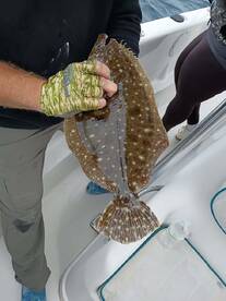 Angler proudly displaying a Flounder on a fishing boat, showcasing a successful catch during a deep-sea fishing trip.