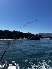 A fishing rod bent under tension, indicating a catch in progress near rocky coastal waters.