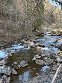 A scenic view of a rocky stream surrounded by trees, ideal for fishing but no people or fish are visible.