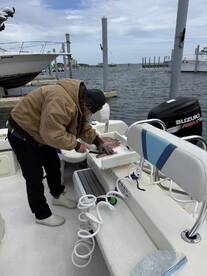 A person filleting fish on a boat's cleaning station, showcasing freshly caught fish in a marina setting.
