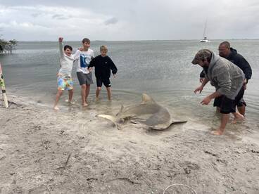 Excited group of young anglers celebrating after reeling in a large shark on the beach, showcasing the thrill of fishing in a coastal environment.