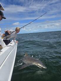 A young angler is reeling in a large shark while fishing from a boat, showcasing an exciting moment on the water.