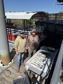 Two anglers proudly displaying their catch of multiple fish on a board at the dock, showcasing a successful day of fishing.