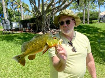 An angler proudly displaying a vibrant Peacock Bass in a lush green setting, showcasing a successful fishing outing.