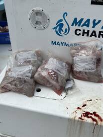 Four bags of freshly caught fish stored on the deck of a charter boat, showcasing the day's catch.