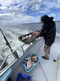 A fisherman prepares freshly caught fish on a boat, with a blue bucket filled with various species visible in the background.