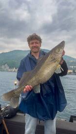Angler proudly displaying a large Walleye while fishing on a scenic lake, surrounded by mountains.