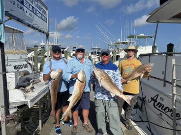 Four anglers proudly displaying their catch of large Redfish at the dock after a successful offshore fishing trip.