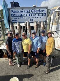 A group of six anglers proudly posing in front of their catch of Redfish displayed on a board at the marina after a successful deep-sea fishing trip.