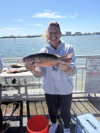 A proud angler displaying a freshly caught Snapper at a cleaning station, enjoying a sunny day by the water.