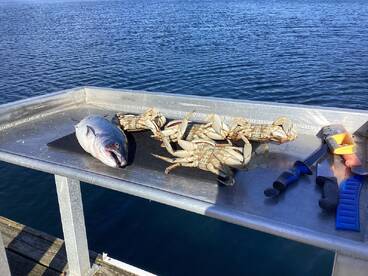 A freshly caught fish alongside several crabs laid out on a fillet table at a dock, showcasing a successful day of fishing.