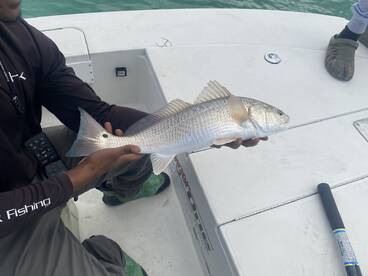 An angler proudly displaying a freshly caught Redfish on a boat, showcasing the excitement of a successful fishing trip.