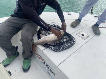 An angler is skillfully unhooking a large fish from a net while on a fishing boat, showcasing the excitement of the catch.