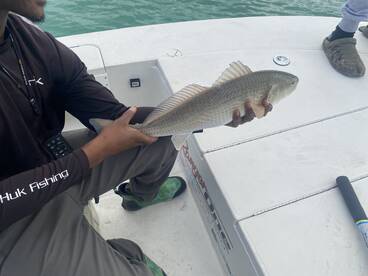Angler holding a freshly caught Redfish on a boat, showcasing a successful fishing trip.