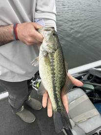 Angler proudly displaying a large Largemouth Bass while fishing on a boat.