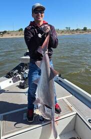 Angler proudly displaying a large catfish while fishing on a sunny day.