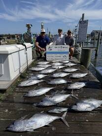 Three anglers proudly display their catch of multiple Bluefin Tuna on a dock in Hatteras, NC, showcasing a successful fishing trip.