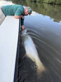 Angler engaged in the thrilling process of reeling in a large Tarpon while fishing in a scenic waterway.