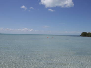 Two individuals enjoying a day in shallow waters, surrounded by a serene coastal environment.