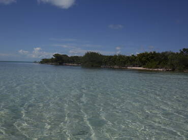 A serene view of a clear water fishing environment with lush greenery along the shoreline, ideal for fishing adventures.