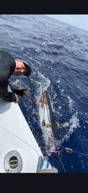 Angler actively reeling in a large fish while on a deep-sea fishing trip, showcasing the excitement of the catch.