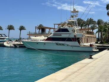 A sleek sportfishing yacht docked at a marina, surrounded by palm trees and clear blue waters.