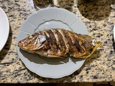 A beautifully cooked fish displayed on a plate, showcasing the preparation after a successful fishing trip.