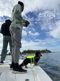 An angler casting a line from a boat, accompanied by a small dog in a life jacket, enjoying a day on the water.
