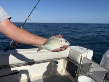 Angler holding a freshly caught fish while on a fishing trip, showcasing the excitement of the catch against a backdrop of open water.