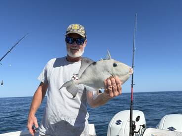 An angler proudly displaying a Triggerfish caught during a fishing trip on a sunny day at sea.