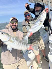 Three anglers proudly displaying their catch of striped bass while fishing on a boat, with a city skyline in the background.