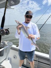 Angler proudly displaying a caught shark while fishing on a boat, showcasing a sunny day on the water.