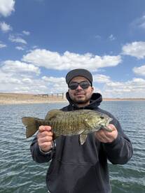 Angler proudly displaying a healthy Smallmouth Bass while fishing on a scenic lake under a clear blue sky.