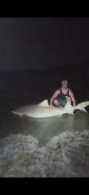 Angler posing with a large shark on the shore at night, showcasing a thrilling catch.