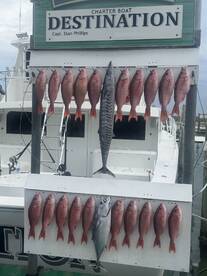 A display of freshly caught fish, including Snapper and a Barracuda, arranged on a catch board at a charter boat dock.