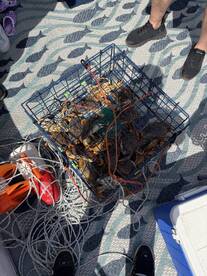 A blue crab trap filled with crabs on the deck of a fishing boat, surrounded by fishing gear and ropes.