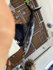 A proud angler holding a large Marlin on the deck of a sportfishing boat, showcasing a successful deep-sea fishing trip.