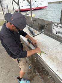 A fisherman filleting a freshly caught fish at a cleaning station near the dock, with the Mardi Gras cruise ship in the background.