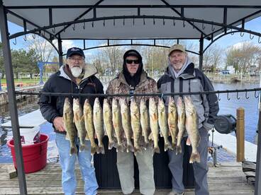 Three anglers proudly display their catch of Walleye on a board at the dock, showcasing a successful fishing trip.